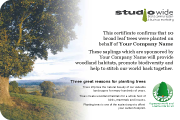 Tree Appeal certificate
